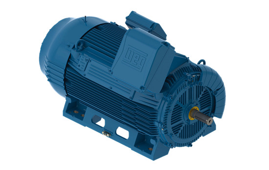 W50中高壓電機